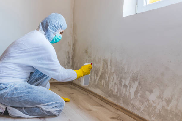 Bathroom Mold Removal assessment in Concord bathroom